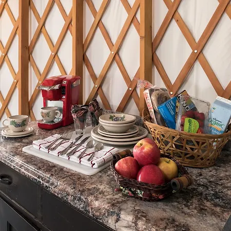 Yale Manor B&B & Yurt Glamping Exterior foto